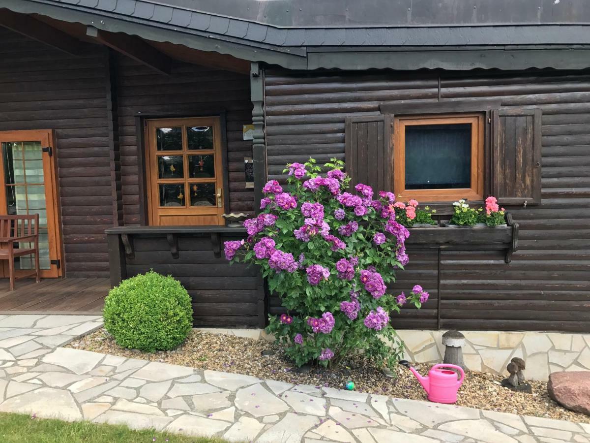 Holzhaus Harz Villa Schielo Eksteriør billede